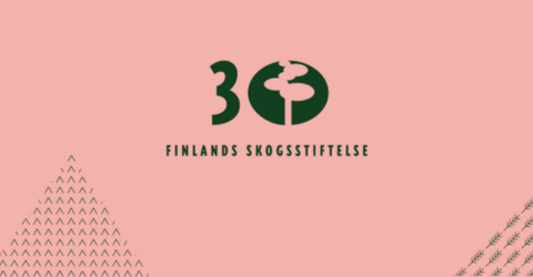 30v uutinen sve