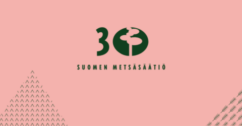 30v uutinen