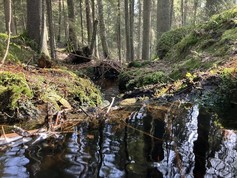 IMG_3488