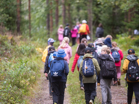 Kaikki kuutoset metsään uusi