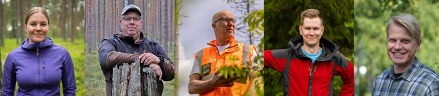 Metsäpäivät palkittavat esitysdiaan (1)