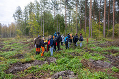 Plantering_Hindhårskola_skosgdag_Lovisa