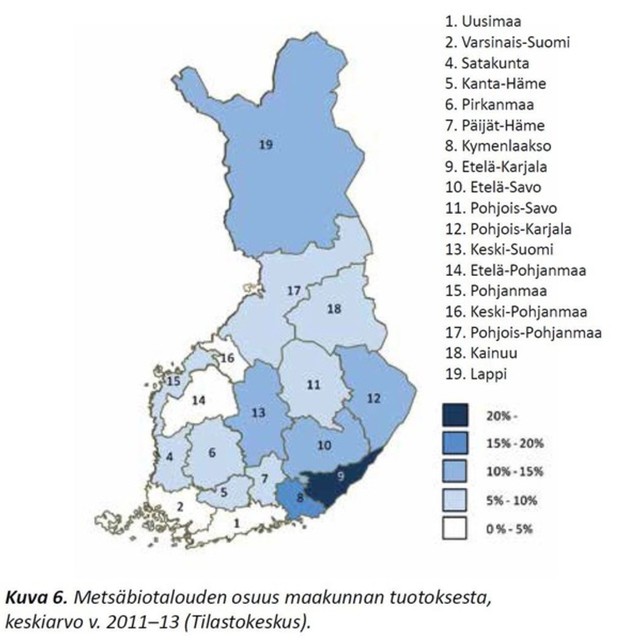 Metsäbiotalouden merkitys suhteessa tuotokseen raporttikuva