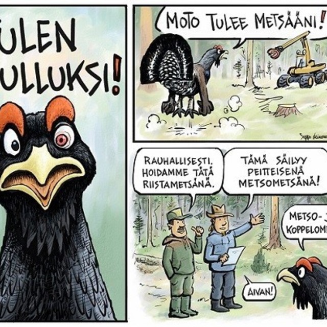 Kipinä riistametsänhoitoon KIRI 