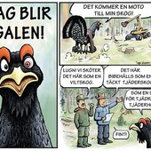 Kipinä riistametsänhoitoon KIRI