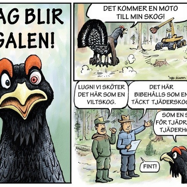 Kipinä riistametsänhoitoon KIRI