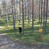 Kainuun metsätaitokisat 5 kuva kisasivulta