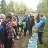 Kuusamon metsäpäivät kuva1 sirpa murtovaara web
