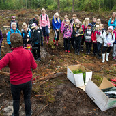 Aukea2_kuvaaja_Vilma_Issakainen_mod