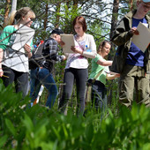 Metsävisa2013_Vilma-Issakainen_mod