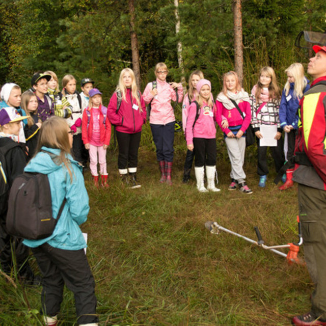 Taimikko_kuvaaja_Vilma_Issakainen_mod