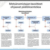 metsankasvatusmenetelmat_1