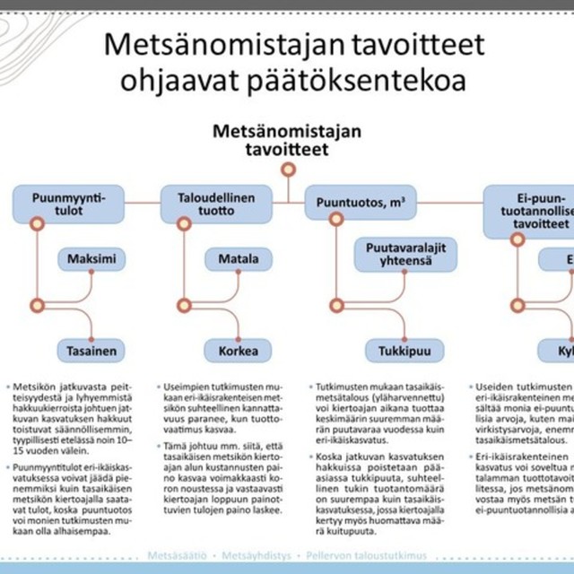 metsankasvatusmenetelmat_1