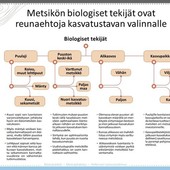 metsankasvatusmenetelmat_2