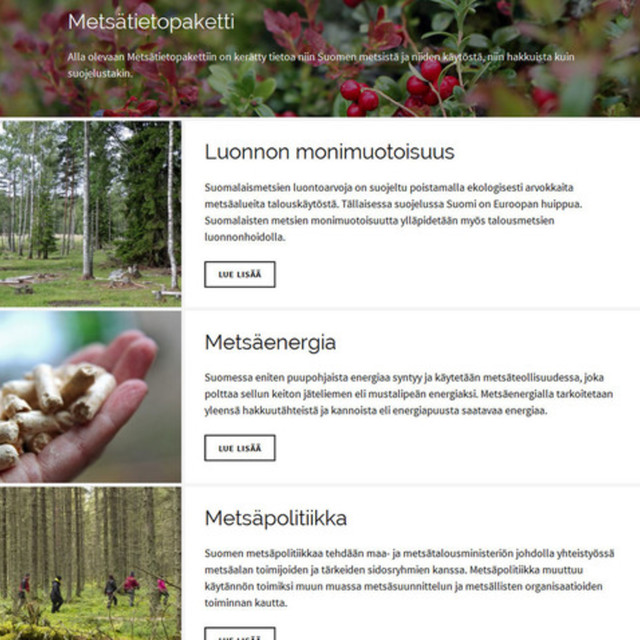 forest_fi_2_mod