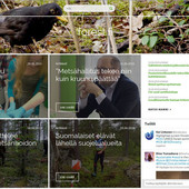 forest_fi_mod