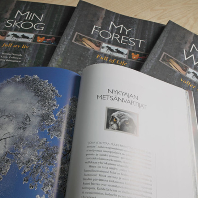 Minun metsäni