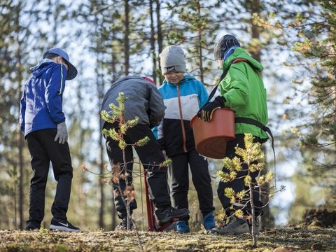 4H-järjestön Metsissä Mahdollisuus metsätapahtumien kuljetukset