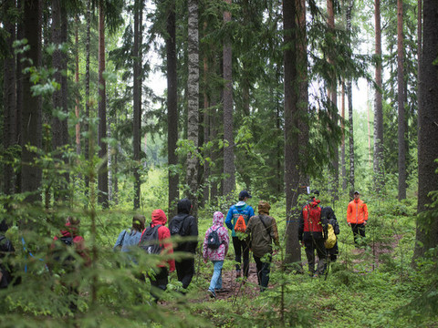 Metsävisa - valtakunnallinen metsätietokilpailu