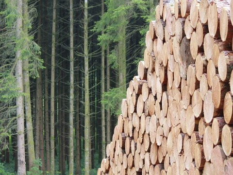 Metsäalan EU-akatemia